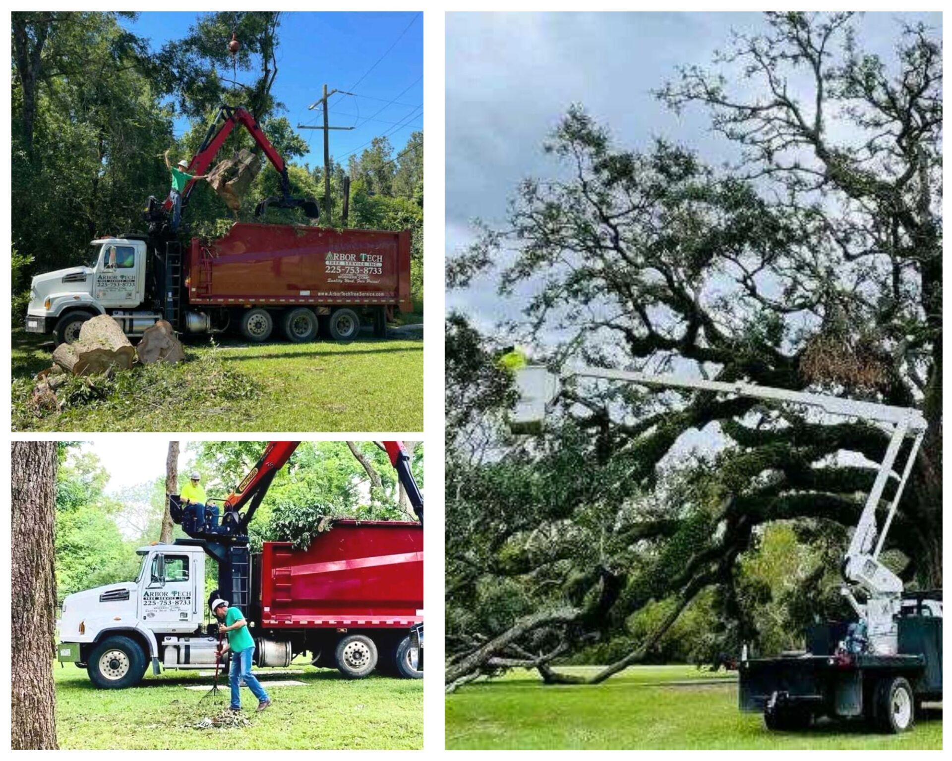 About Arbor Tech Tree Service Tree Companies Near Me Baton Rouge
