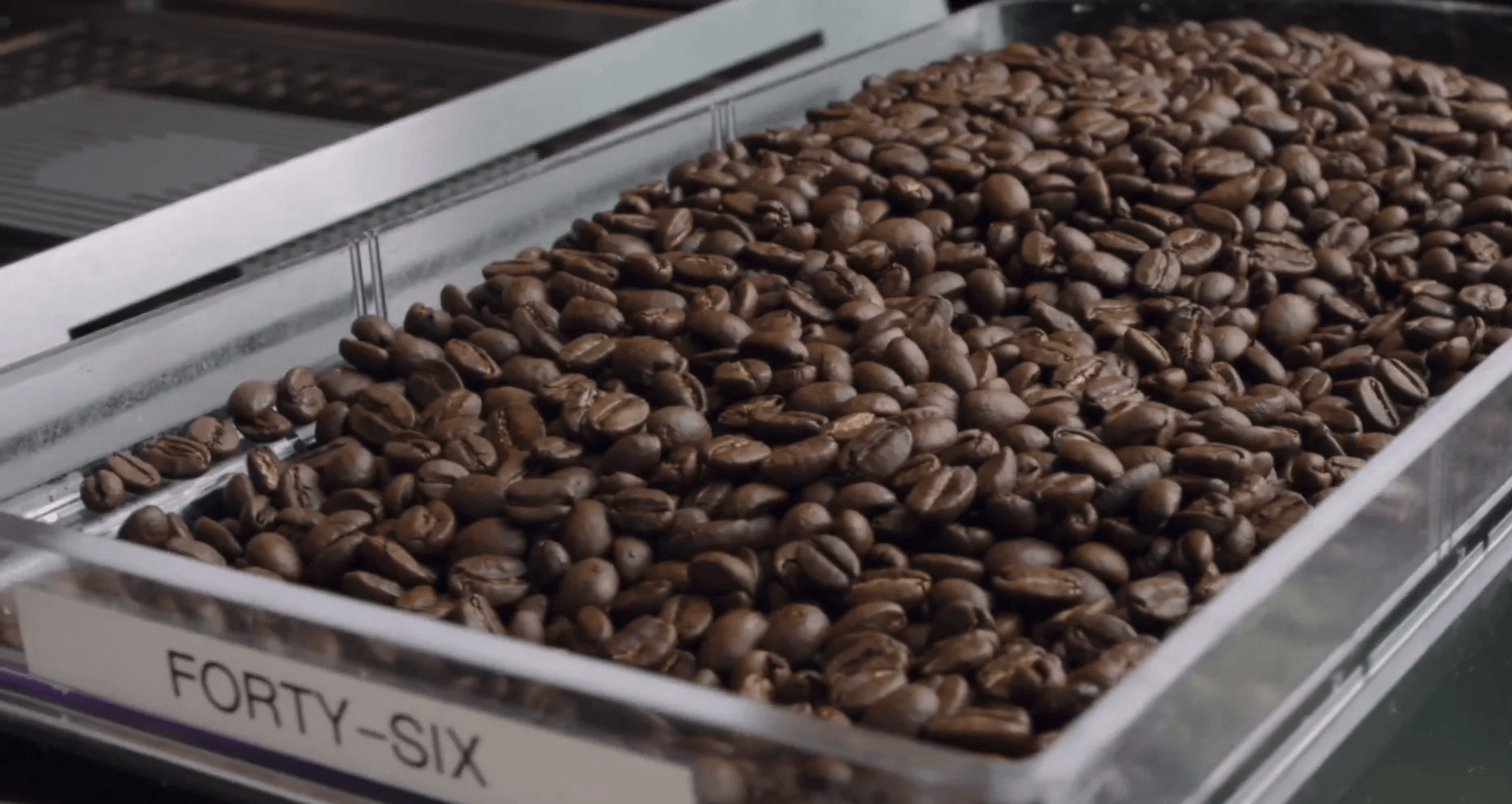 A tray of coffee beans is labeled forty-six.