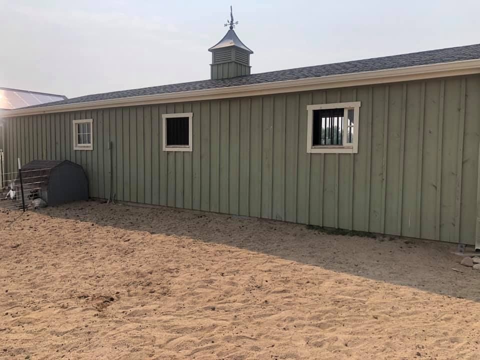 A light green, board-and-batten style barn with a cupola and three windows, situated on a sandy ground surface.