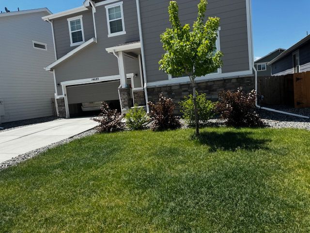 Suburban house with a driveway, green lawn, and young tree in front