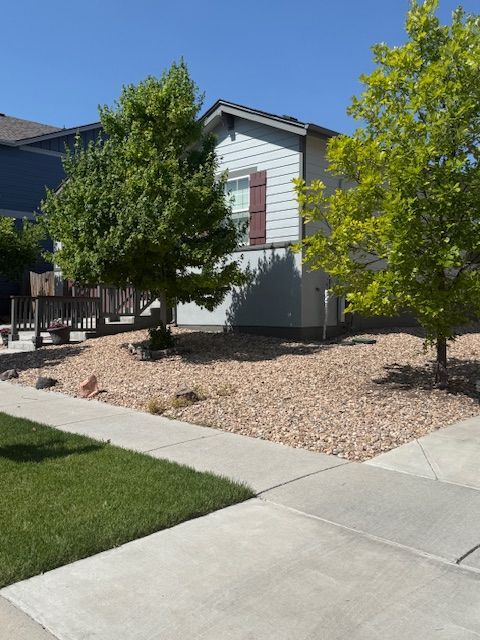 Suburban house with a small tree and rock landscaping beside a concrete sidewalk
