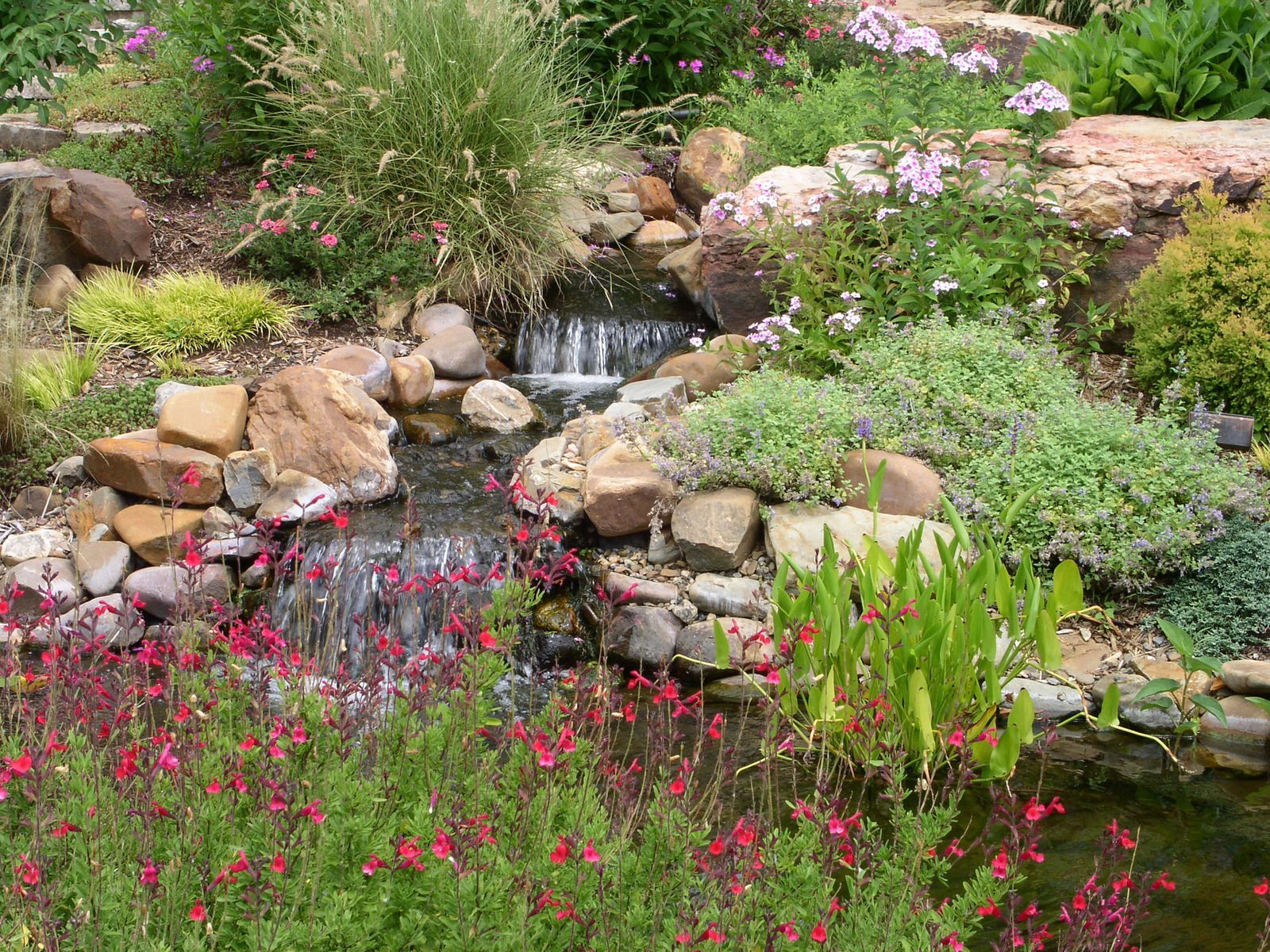 A small stone waterfall cascades into a pond, surrounded by lush green foliage and bright red flowers in a garden setting.