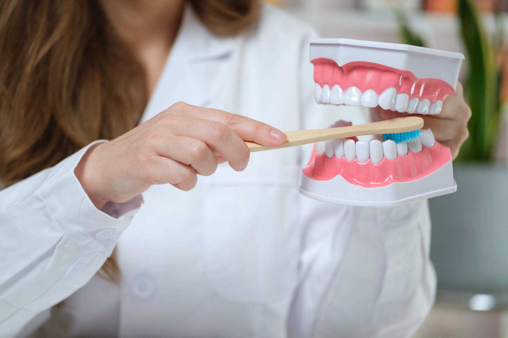 Doctor demonstrates brushing teeth on model of jaws.