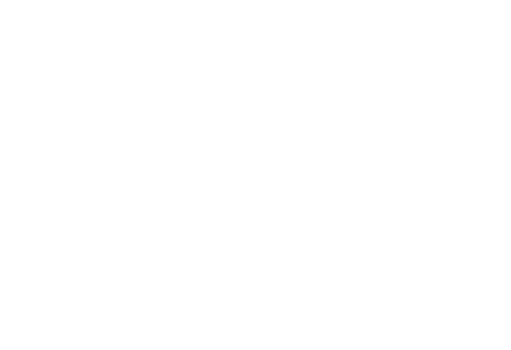 Immagine bianca vuota, priva di contenuto visibile.