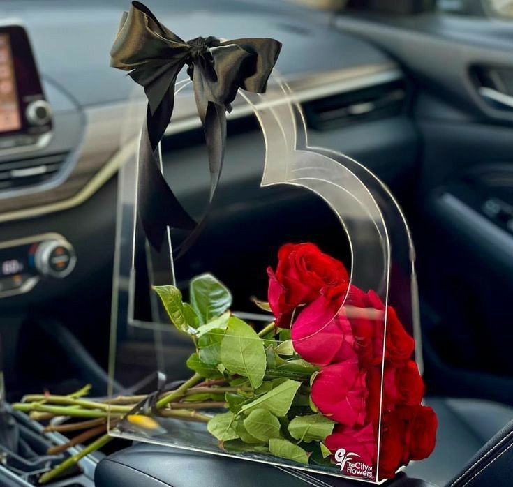 ACRÍLICOS PLASTICOLOR