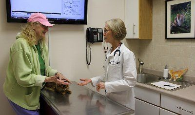 Cat Expert — A Woman Consulting to a Veterinarian in Libertyville, IL