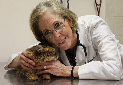 Rebecca Schmidt — Dr. Schmidt Holding a Cat in Libertyville, IL