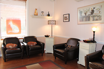 Feline Clinic — Receiving Area of a Cat Clinic in Libertyville, IL
