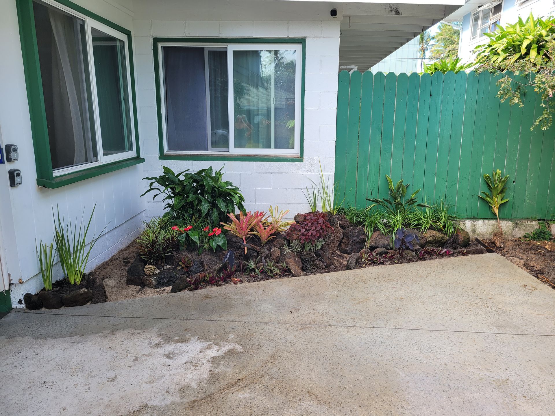 new plants installed in front of house