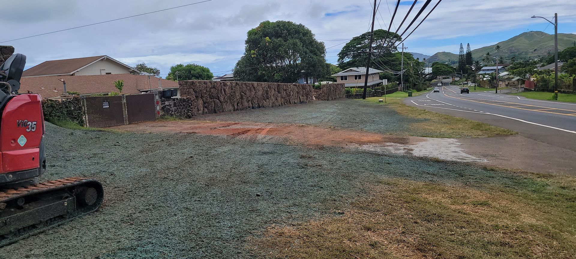 dying lawn with new hydroseed application