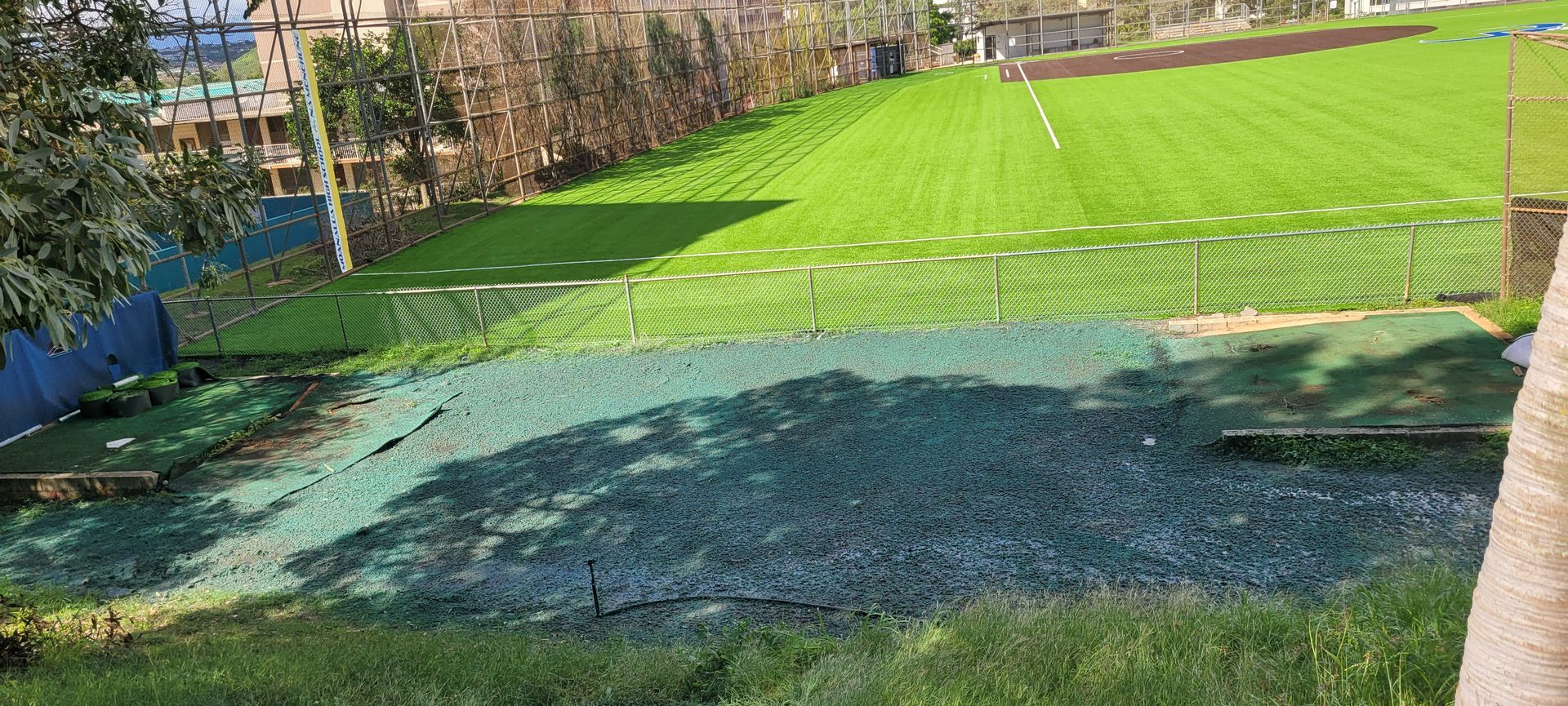 section of lawn with hydroseed applied