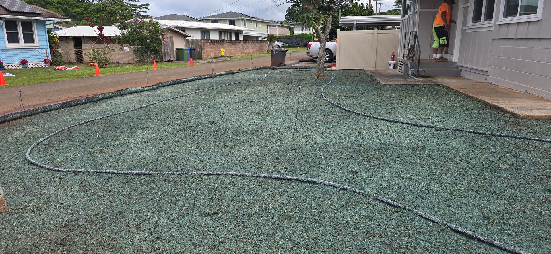hydroseed being applied to a front lawn
