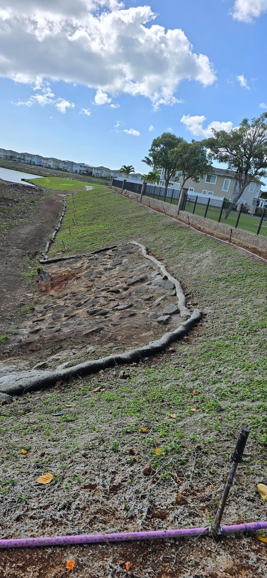 lawn being hydroseeded