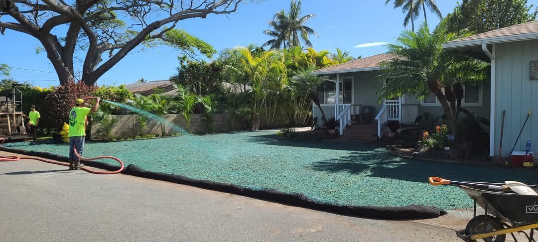 lawn being sprayed with hydroseed