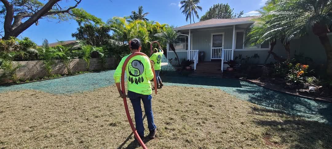 hydroseeding being done on lawn