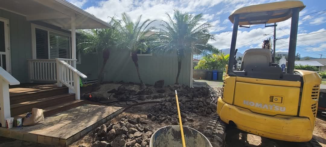 fresh palm tree installation