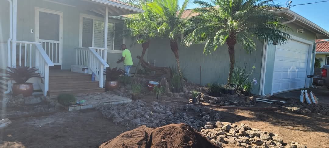 installing palm trees in front of house