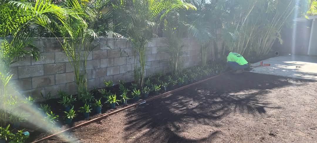 trees and small plants installed along fence line