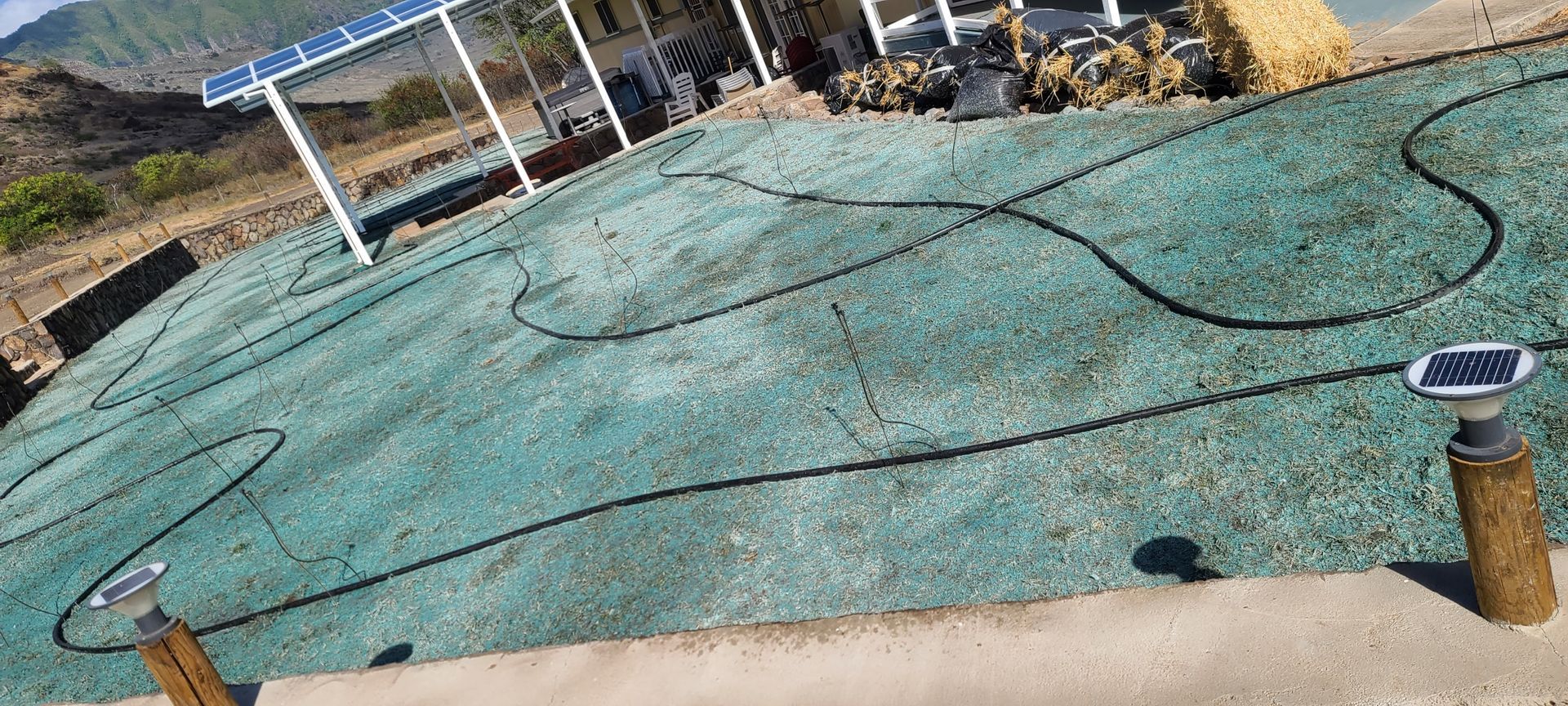 patio in a residential backyard with a large section covered in lawn seed