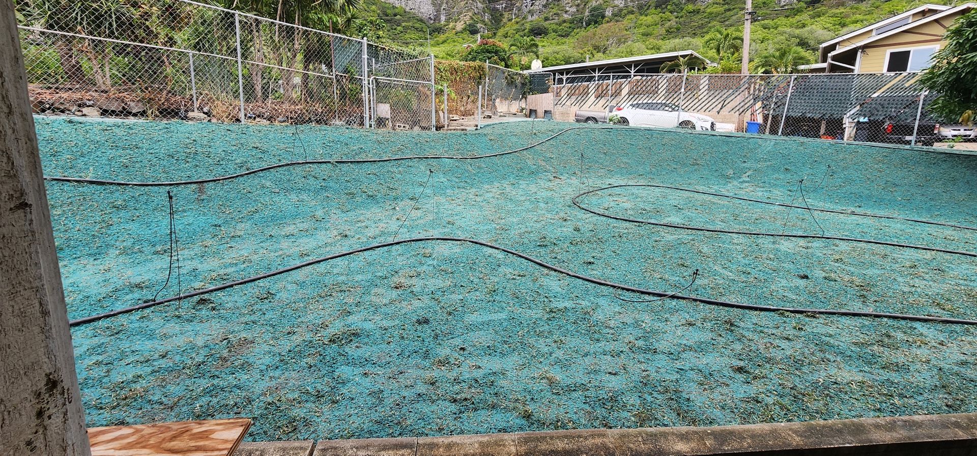 back yard with fresh hydroseed sprayed on