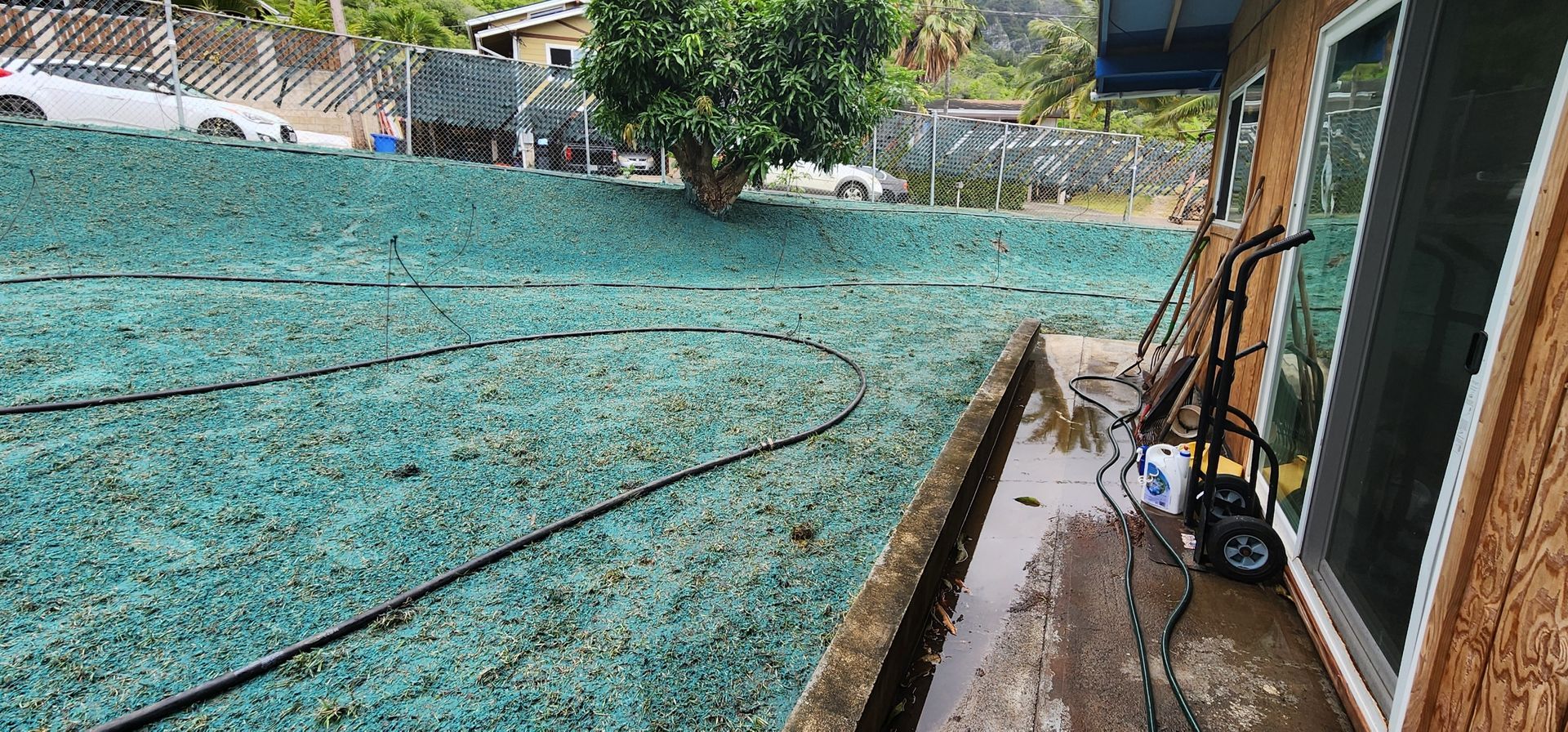 hydroseeded backyard before grass growth