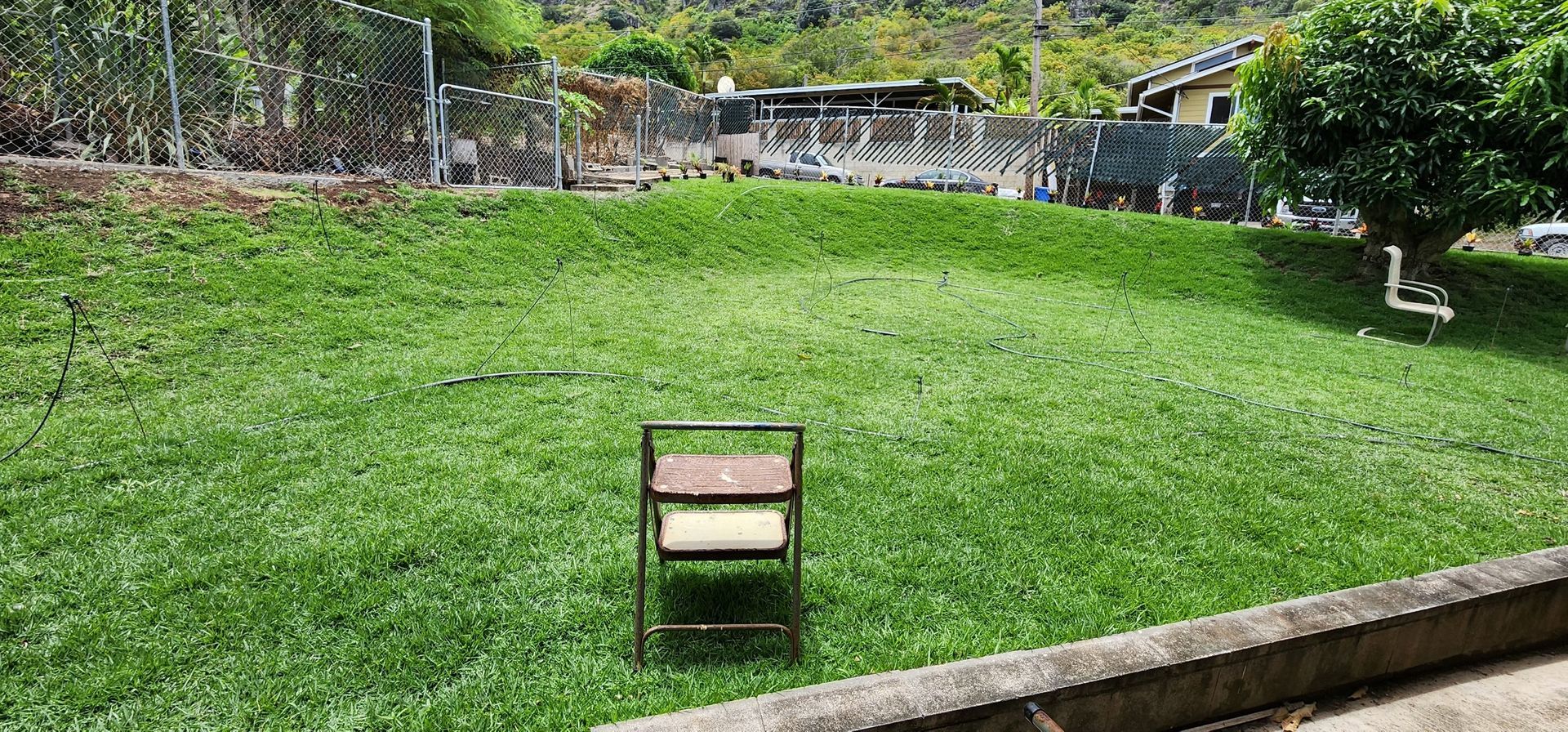 backyard of grass with one single lawn chair