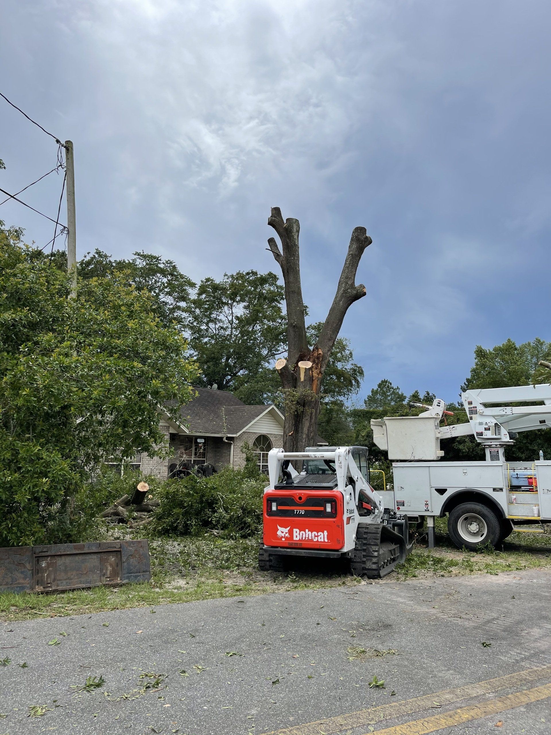 tree-services-lake-city-fl-kari-s-tree-service