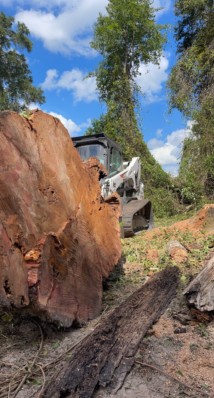 A man sawing a tree — Lake City, FL — Kari’s Tree Service