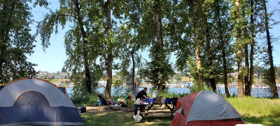 A group of people are camping in a field with tents and a picnic table.