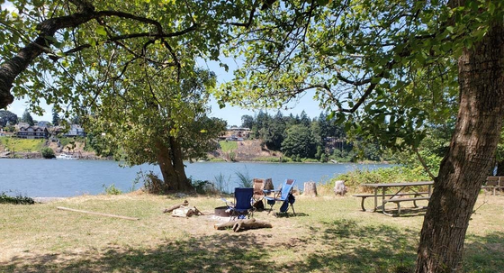 A group of people are sitting under a tree near a lake.