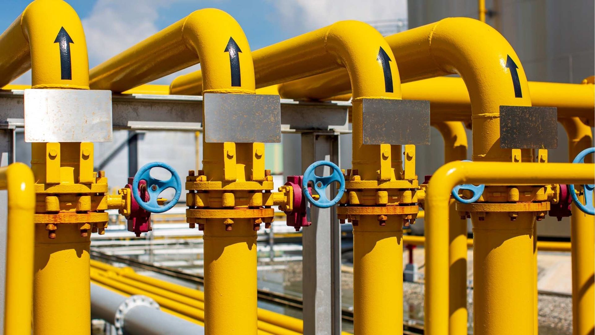 A row of yellow pipes with blue valves in a factory.
