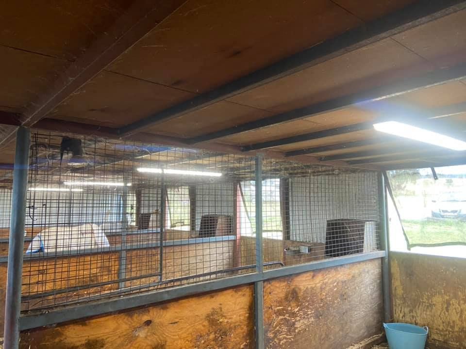 Horse Stable With Lights — Tarbert Electrical In Loomberah NSW