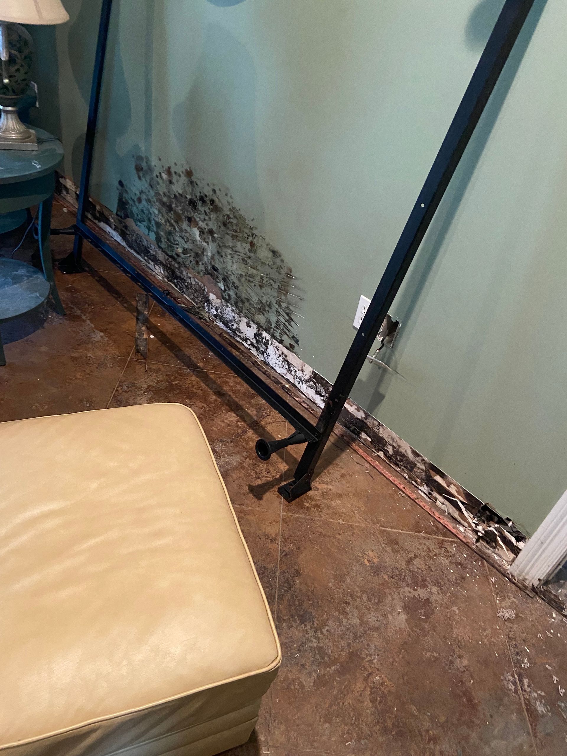 A living room with a chair , ottoman , lamp and mould on the wall.