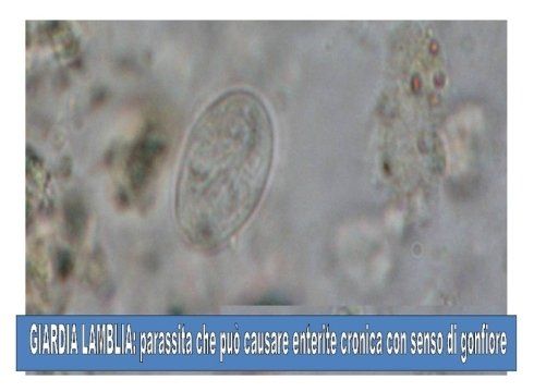 A picture of a coin with the words guardia l4nbl at the bottom