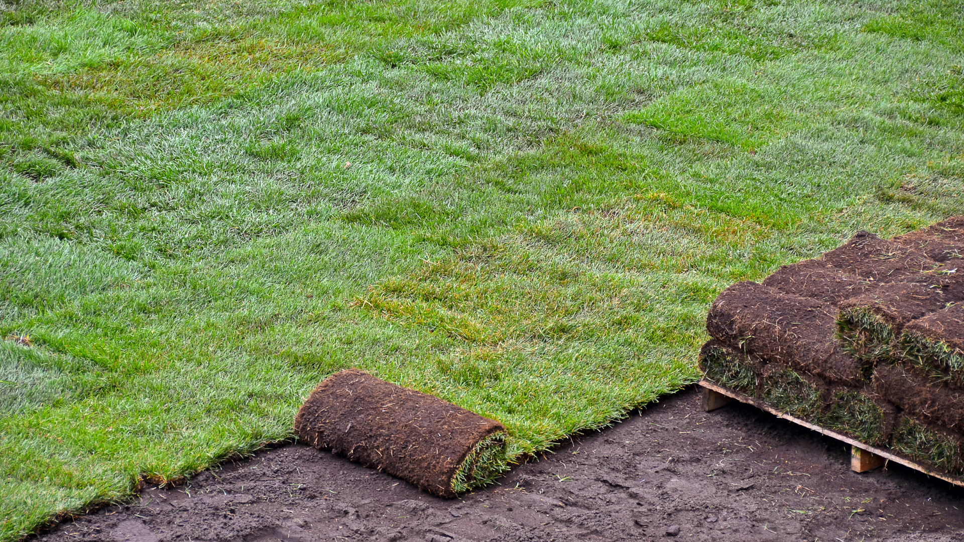 Rolled sod being laid over bare soil beside an existing green lawn, with stacks of turf nearby