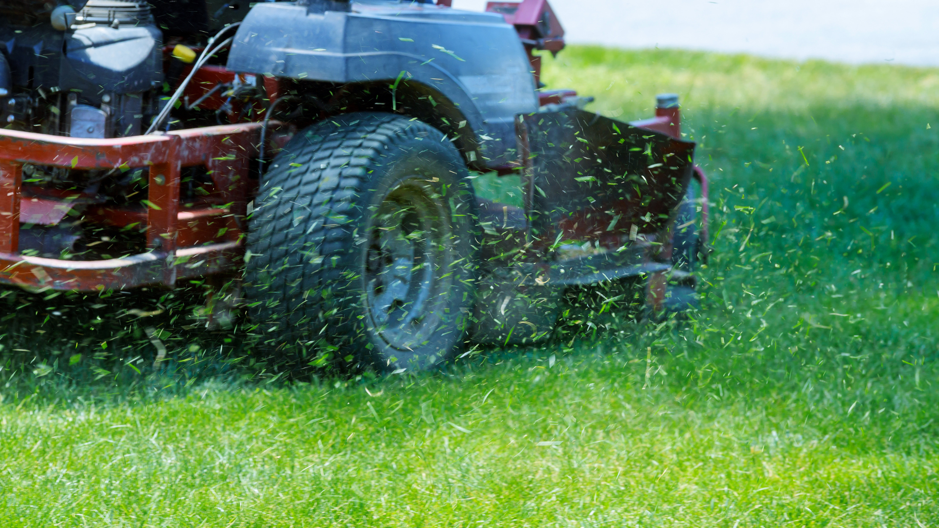 A lawn mower cutting wet grass, spraying clippings over a green lawn.
