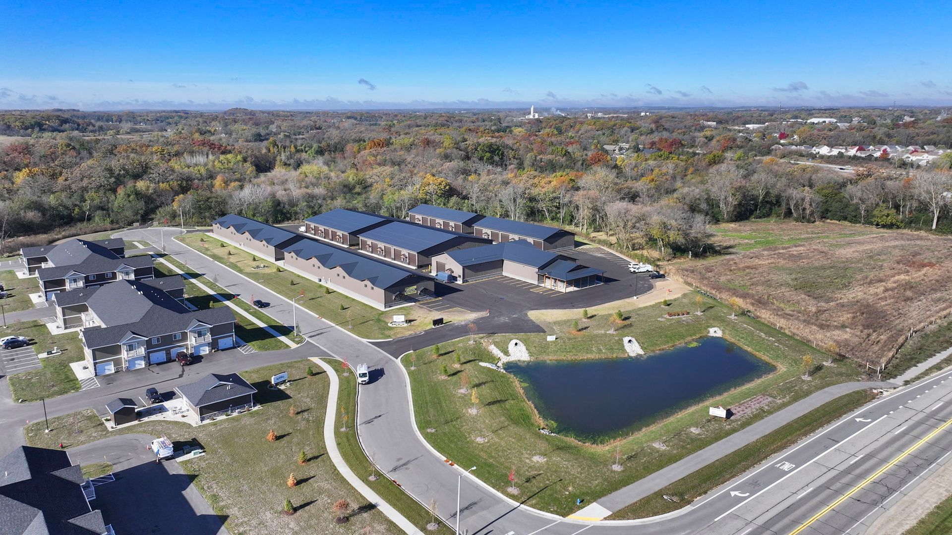 Interior photo of a houseplant on a table