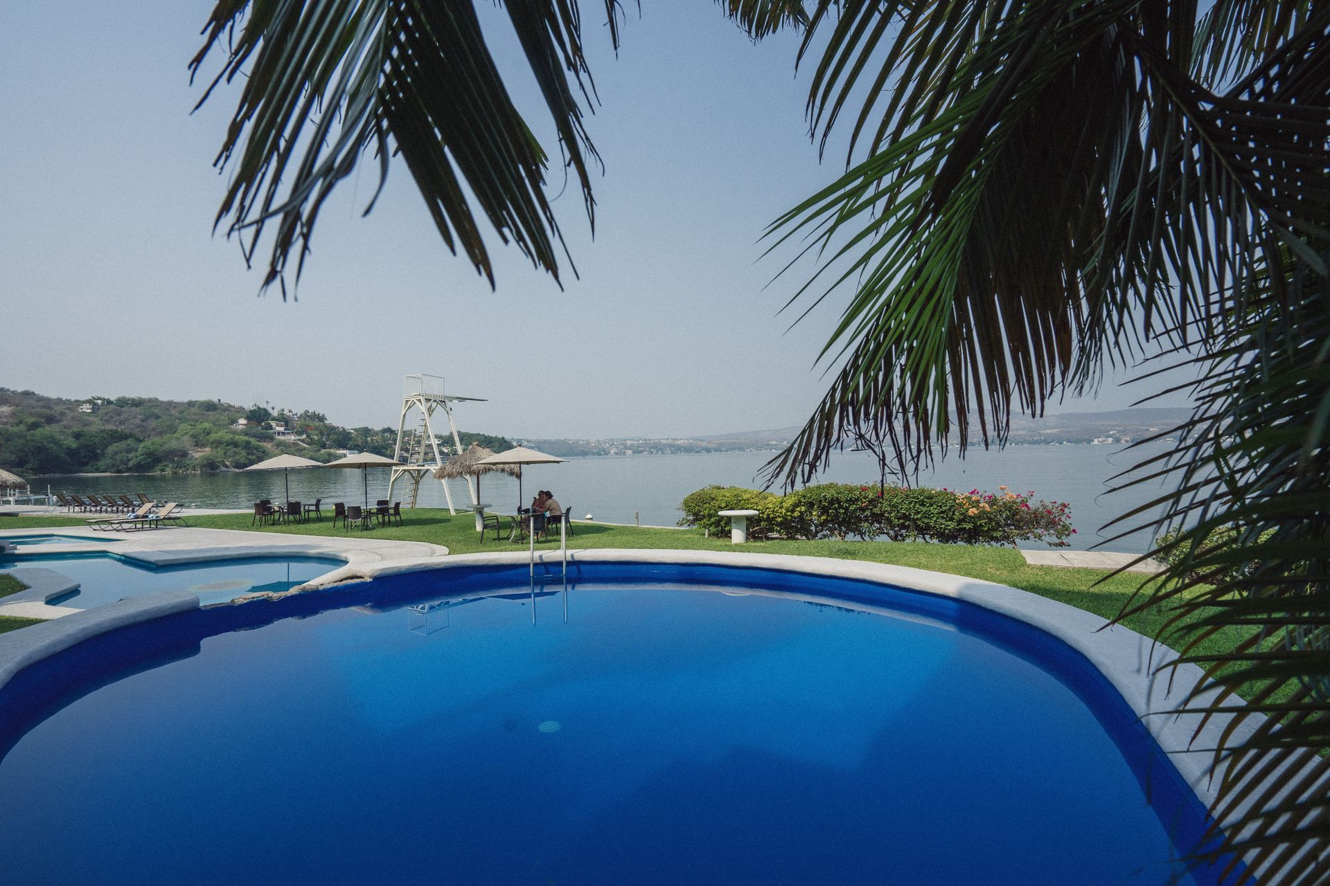 Piscina con vistas a un lago, enmarcada por hojas de palmera. El agua azul refleja el cielo.