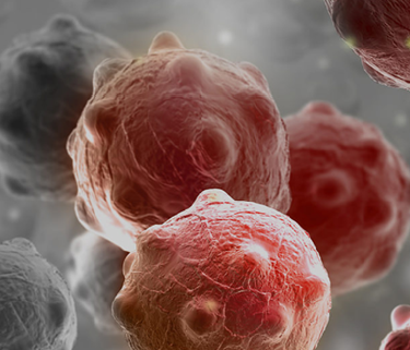 for Northlake Gastroenterology Associates