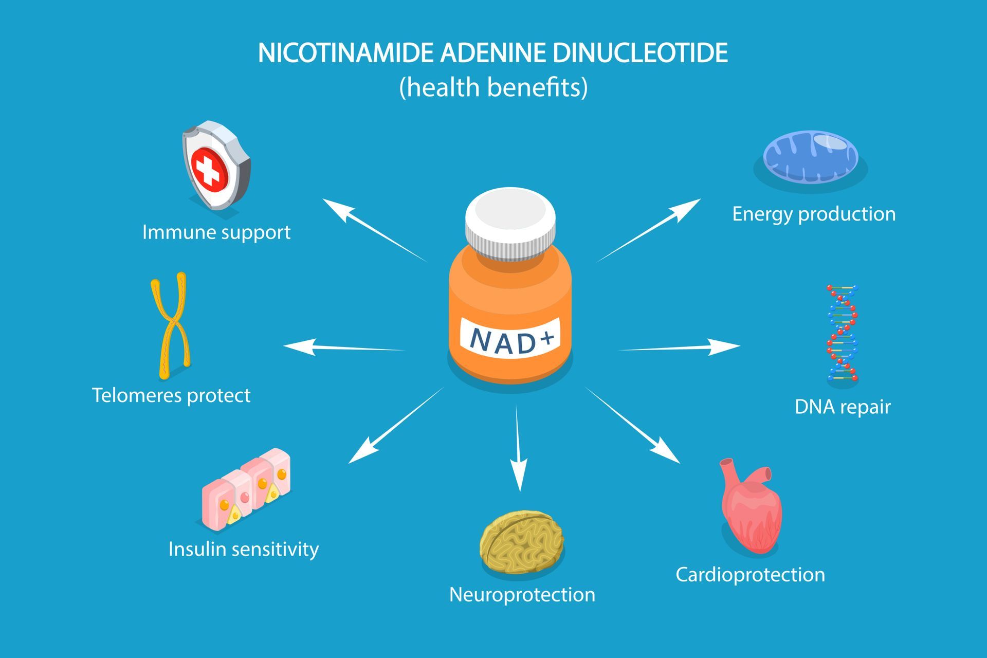 A visual representation of all of NAD (Nicotinamide Adenine Dinucleotide) health benefits with NAD+at the center surrounded by all of the health benefits to include immune support, energy production DNA repair, cardioprotection, neuroprotection, insulin sensitivity, telomere protection.