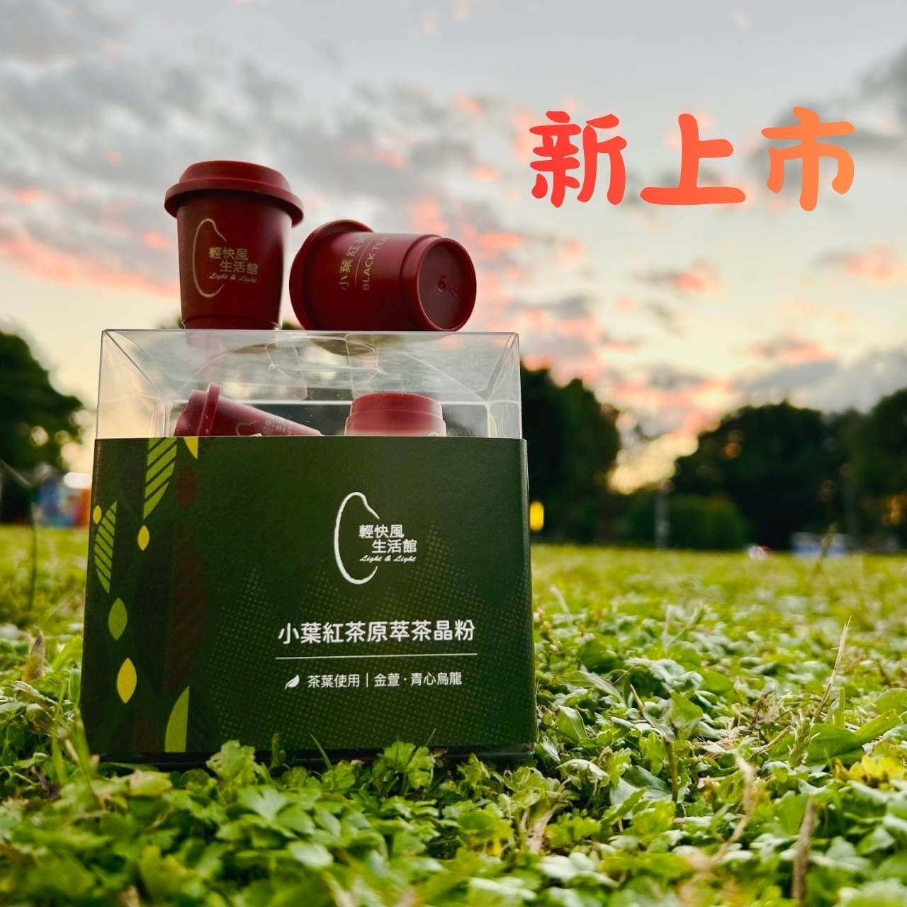 小葉紅茶原萃茶晶粉-10入(新上市)