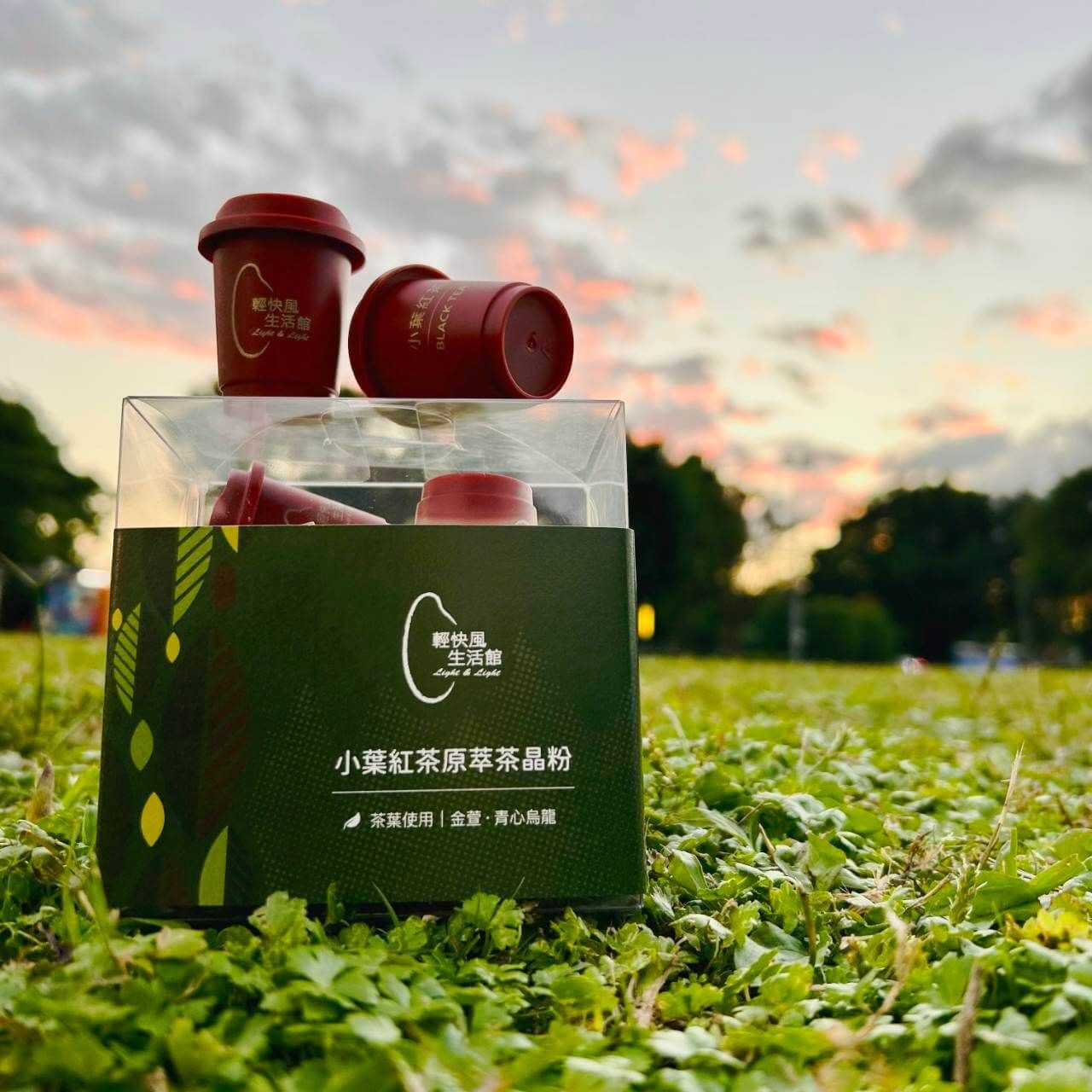 小葉紅茶原萃茶晶粉-10入(新上市)