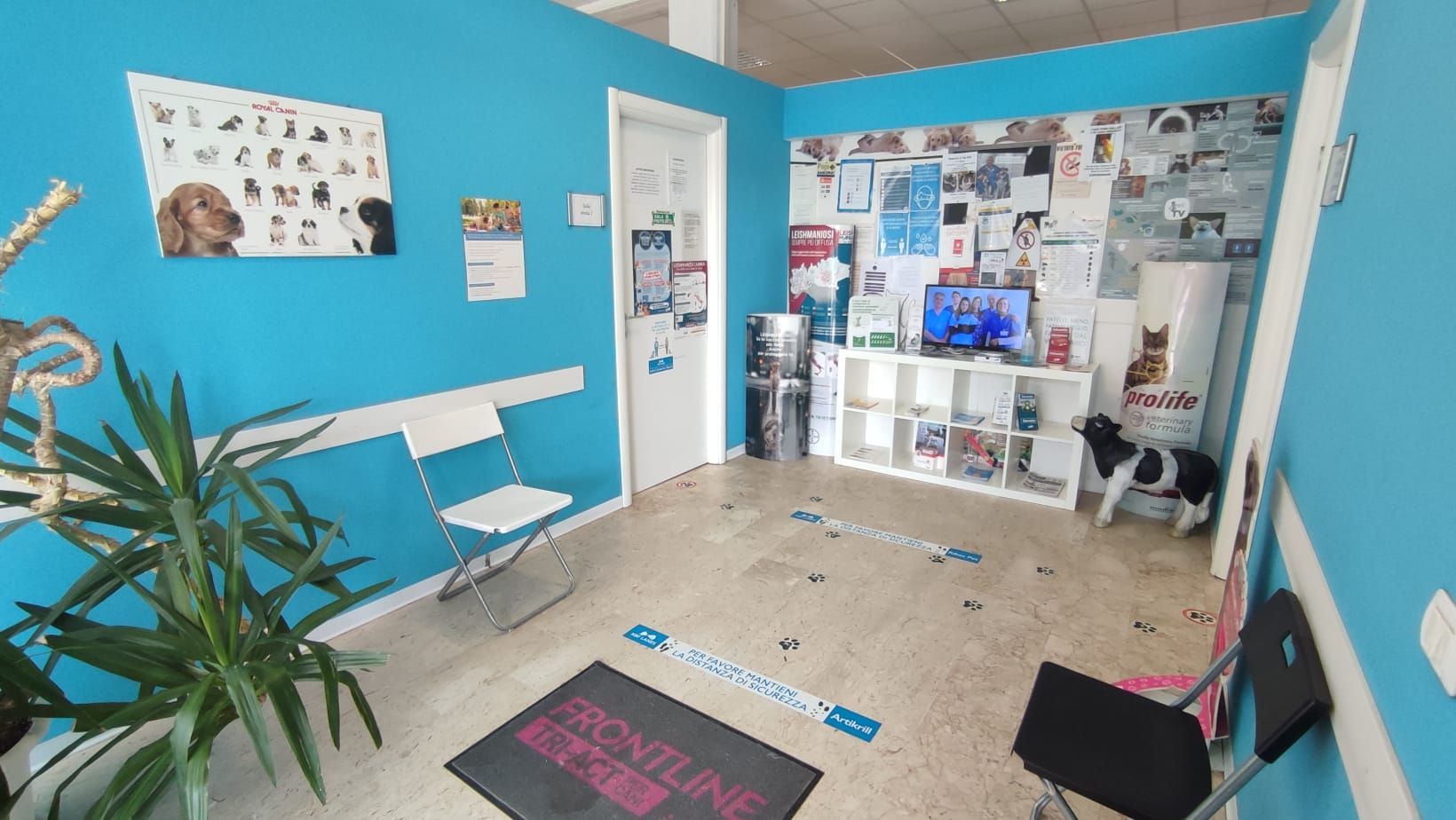 interno ambulatorio veterinario