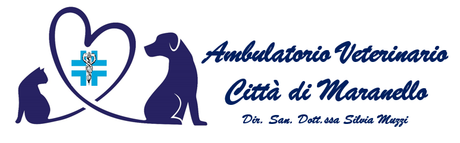 logo Ambulatorio