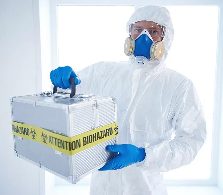 Mold Remediation Companies Near Me