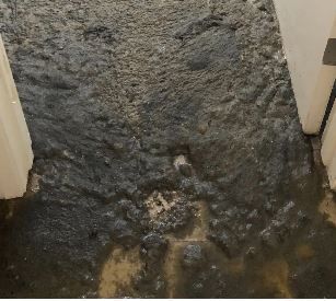 Water Damage Restoration