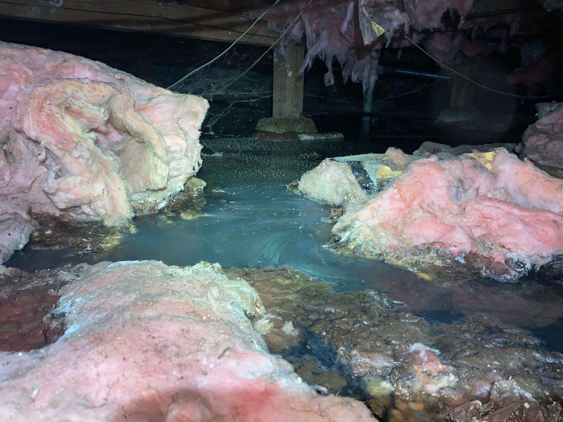 Water Damage Restoration Near Me