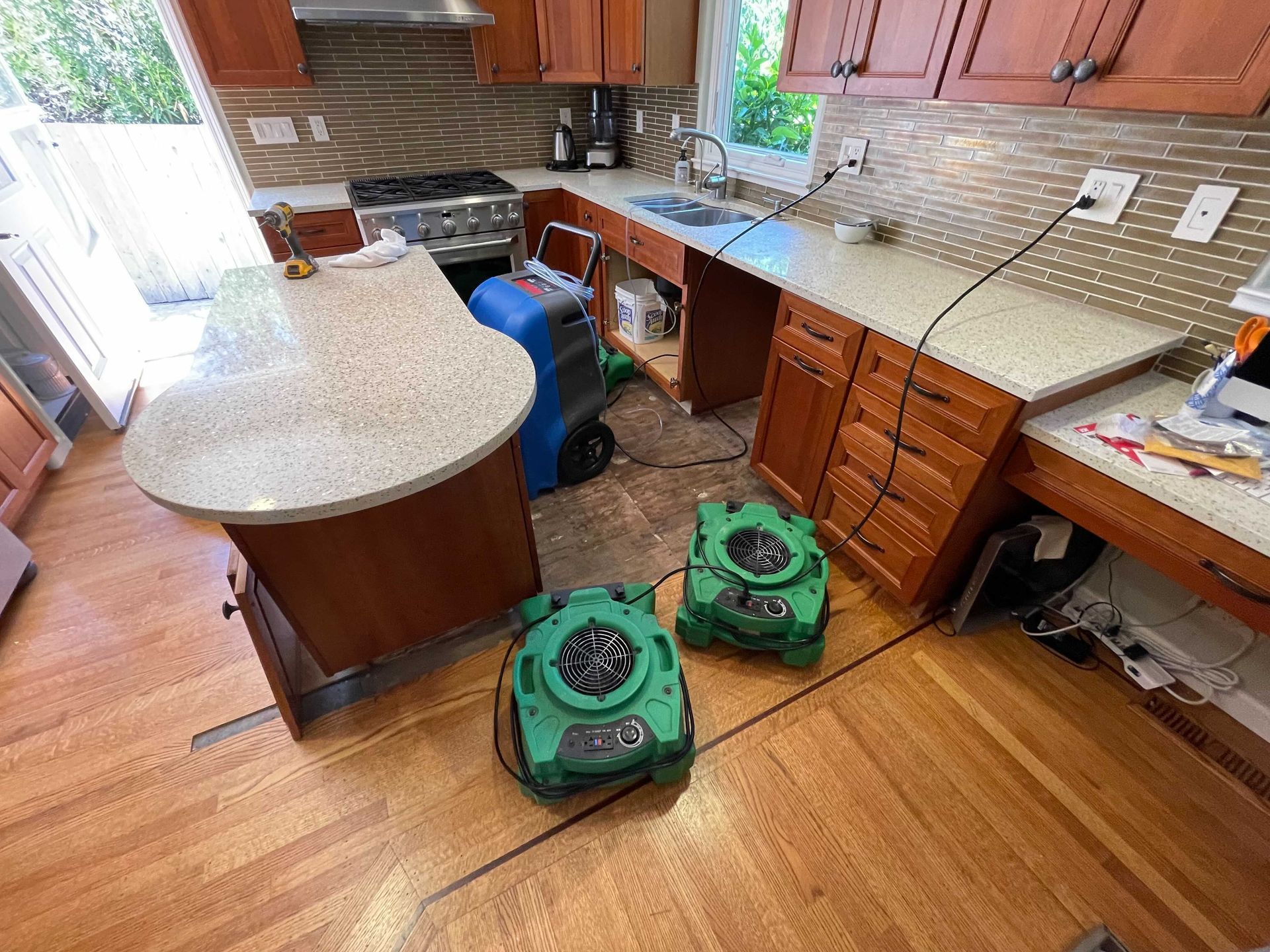 Mold Remediation Companies Near Me