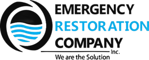 Mold Remediation Companies Near Me