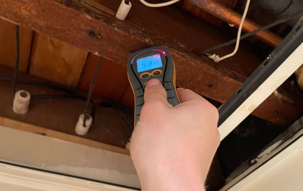 Mold Remediation Companies Near Me